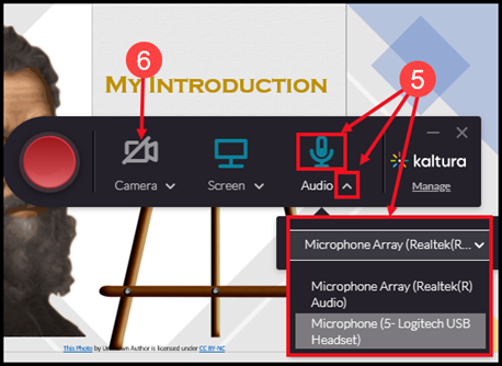 kaltura settings dialog